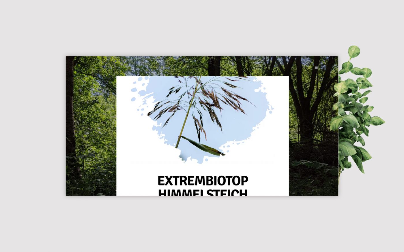 Habitat Website 2